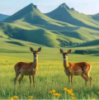 WWW,qqq56·COM网站APP WWW,qqq56·COM网站APP
