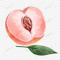 WWW,se355·COM网站APPAPP应用